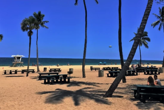 Discovering Fort Lauderdale: Top Attractions and Activities
